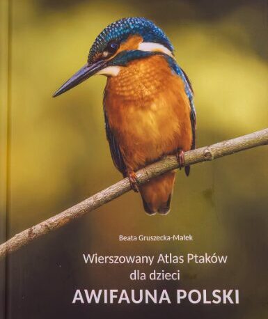Wierszowany Atlas Ptaków dla dzieci - AWIFAUNA POLSKI